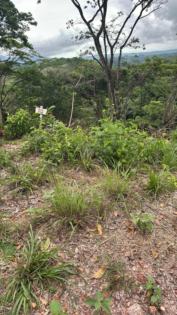 Lote en Quintas Posadas del Sol, Turrubares — Un refugio de bosque, a un paso del río