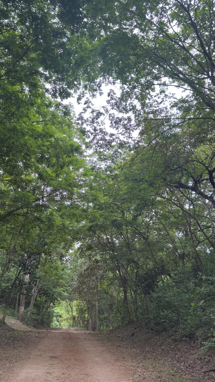 Lote en Quintas Posadas del Sol, Turrubares — Un refugio de bosque, a un paso del río