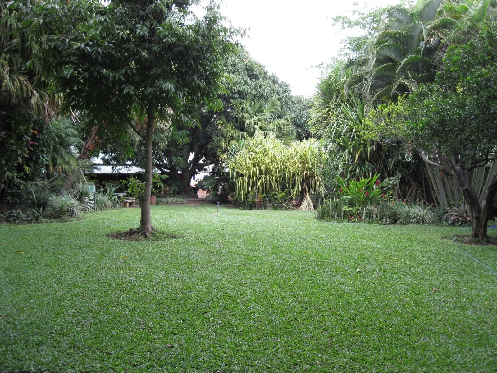 Terreno comercial en Río de Oro, Santa Ana — Oportunidad de inversión